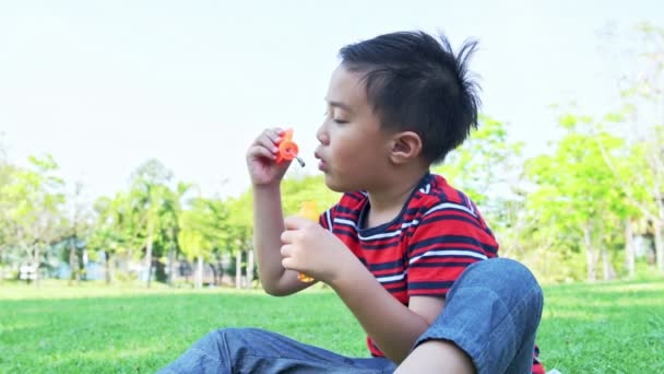 公園で泡を吹く若い男の子 アジアの少年は公園で彼のバブルの混合物で遊んで楽しんで — ストック動画