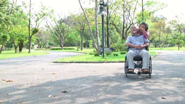 Vrchní Člověk Kolečkovým Křesle Parku Starý Asijský Muž Kolečkovým Křesle — Stock video