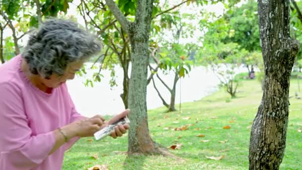 Mujer Mayor Teniendo Derrame Cerebral Parque Asia Anciana Parque — Vídeos de Stock