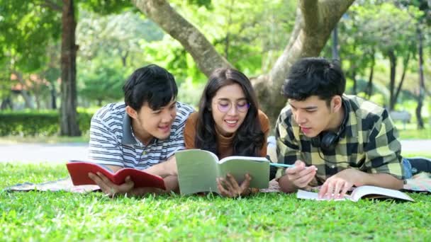 Studenten Het Park Samen Studeren Chinese Mannelijke Vrouwelijke Tieners Zitten — Stockvideo