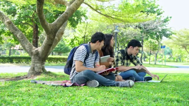 Студенты Парке Учитесь Вместе Китайские Юноши Девушки Сидят Вместе Читают — стоковое видео