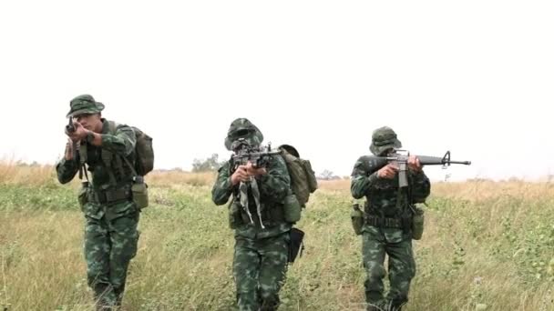 Soldados Militares Entrenando Campo — Vídeo de stock