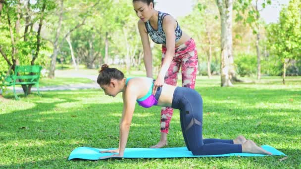 Frau Unterrichtet Yoga Park Yoga Praktizieren Und Öffentlichen Park Entspannen — Stockvideo