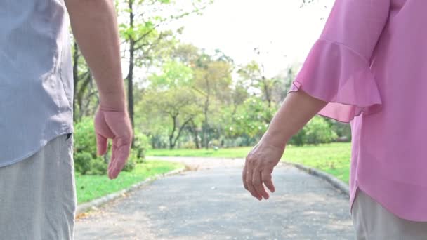 Pareja Mayor Parque Pareja Ancianos Chinos Parque Pie Cada Lado — Vídeos de Stock