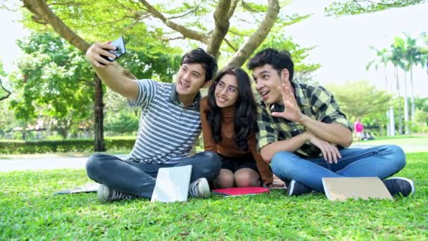 Studenten Het Park Samen Studeren Chinese Mannelijke Vrouwelijke Tieners Zitten — Stockvideo