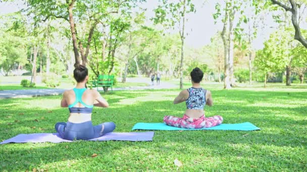 Žena Učí Jóju Parku Cvičení Jóby Relaxace Veřejném Parku — Stock video