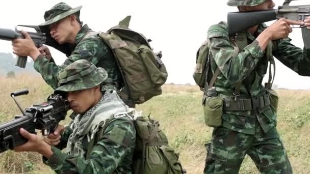 Soldados Militares Treinando Campo — Vídeo de Stock