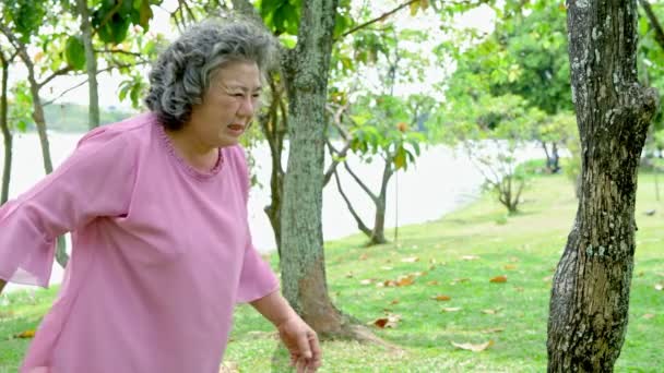 Mujer Mayor Teniendo Derrame Cerebral Parque Asia Anciana Parque — Vídeos de Stock