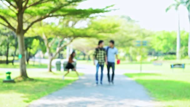 Alunos Parque Estudar Juntos Chinês Masculino Feminino Adolescentes Andando Juntos — Vídeo de Stock