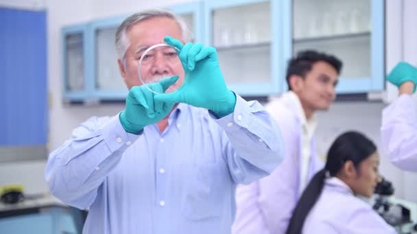 Cientistas Trabalhar Num Retrato Laboratório Cientista Chinês Sênior Trabalhando Retrato — Vídeo de Stock