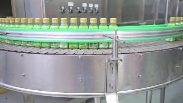 Máquina Llenado Botellas Vidrio Fábrica Fila Botellas Una Cinta Transportadora — Vídeo de stock