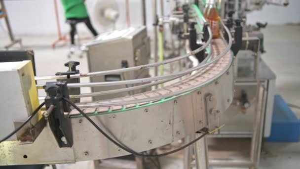 工場でガラス ボトル充填機 工場の生産ラインのコンベア ベルトでボトルの行 自然光と実際の工場での撮影 — ストック動画