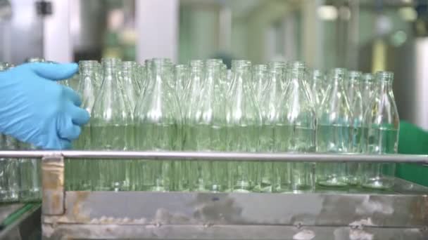 玻璃瓶灌装机厂 在工厂生产线的传送带上排瓶 和工厂工人一起工作 以天然光的实际工厂拍摄 — 图库视频影像