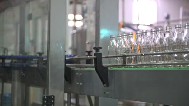 Glass Bottle Filling Machine Factory Row Bottles Conveyor Belt Factory — Stock Video