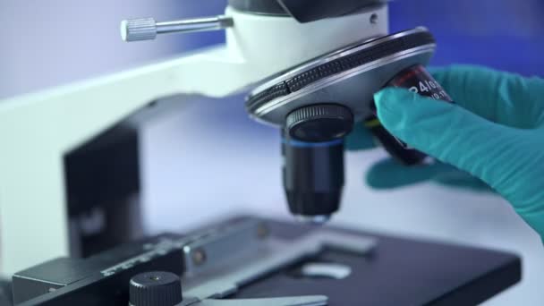 Feche Microscópio Com Mão Nas Luvas Ajustando Lente — Vídeo de Stock