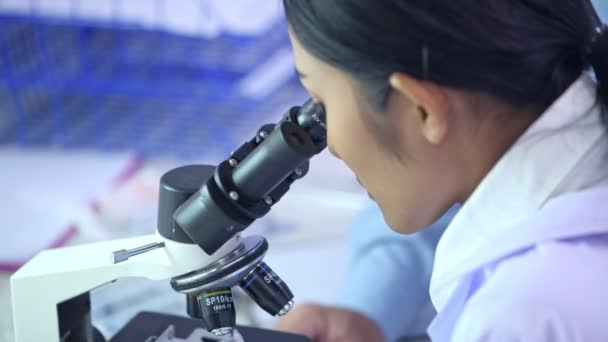 Wetenschapper Zoek Naar Microscoop Jonge Vrouwelijke Wetenschapper Microscoop Kijken Zien — Stockvideo