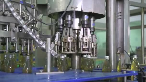 Mesin Pengisi Botol Mesin Pengisi Botol Otomatis Berkecepatan Tinggi Produksi — Stok Video