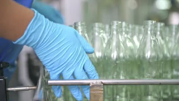 Cam Şişe Dolum Makinası Fabrikasında Fabrika Üretim Hattında Bir Konveyör — Stok video