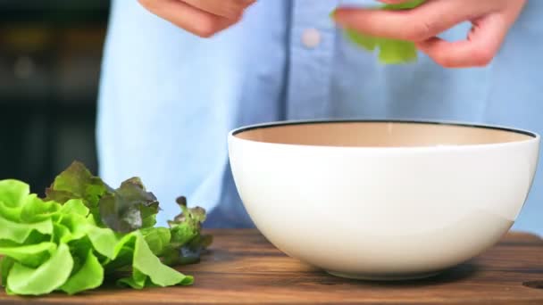 Mujer Rasgando Hojas Lechuga Poniendo Tazón — Vídeos de Stock