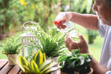 Ahşap masa üzerinde bahçe bitki sulama komuta sizde. Üst düzey Asya adam sulama tesisleri masada. Üst düzey yaşam tarzı Aile kavramı.
