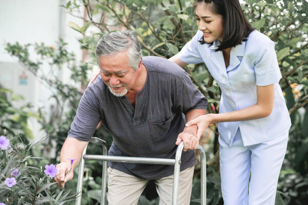 Nurse with patient using walker in retirement home. Young female nurse holding old man's shoulder in outdoor garden walking. Senior care, care taker and senior retirement home service concept.