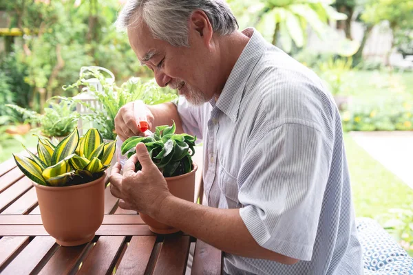 Senior man watering plant in garden on wooden table. Senior asian man watering plants on table. Senior lifestyle family concept.