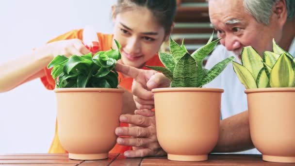 祖父和孙女一起在花盆里浇灌植物 — 图库视频影像