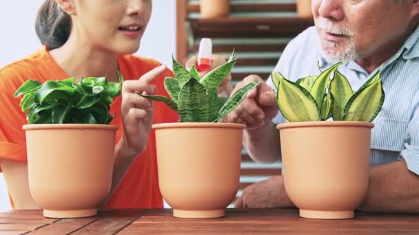 Nagyapa Unokája Öntözés Növények Edényben Együtt — Stock videók