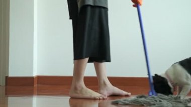 Bir paspas ile temizlik kadın. Güzel Asyalı kadın köpek ısırman çalışın ile paspas ile zemin temizleme. Düşük açılı vurdu. Ev temizlik hizmeti kavramı.