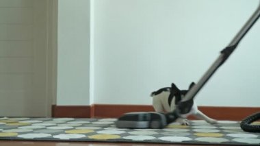 Elektrikli süpürge ile temizlik kadın. Elektrikli süpürge ve bu saldırı çalıştığınız köpek ile zemin temizlik güzel Asyalı kadın. Düşük açılı vurdu. Ev temizlik hizmeti kavramı.