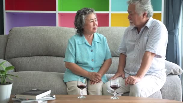 Senioren Paar Sitzt Und Spricht Mit Rotweinglas Auf Tisch Wohnzimmer — Stockvideo