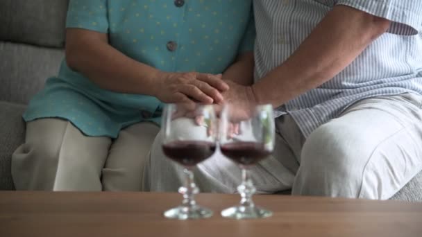 在客厅的桌子上 资深夫妇坐在那里 拿着红酒杯说话 退休的老亚洲男女 酒杯在前景 幸福的微笑 老年人生活方式理念 — 图库视频影像