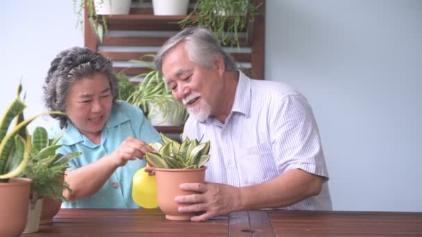 Coppia Anziana Seduta Impianto Annaffiante Insieme Balcone Ritirato Vecchio Asiatico — Video Stock