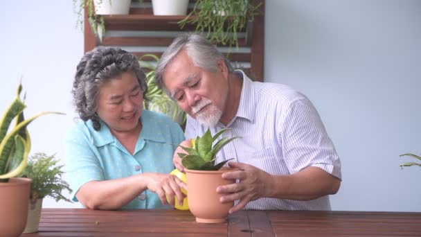 高级夫妇一起坐在阳台上浇灌植物 退休的老亚洲男女 一起浇灌植物 快乐的微笑 老年人生活方式理念 — 图库视频影像