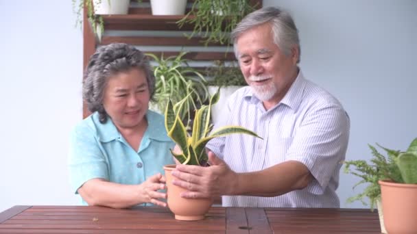 年配のカップルが座っていると 水やりをバルコニーで一緒に植えます 引退した古いアジアの男性と女性 植物一緒に 幸せな笑顔を散水します シニアのライフ スタイルのコンセプト — ストック動画