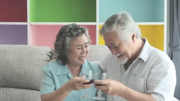 Couple Âgé Assis Parlant Avec Verre Vin Rouge Sur Table — Video