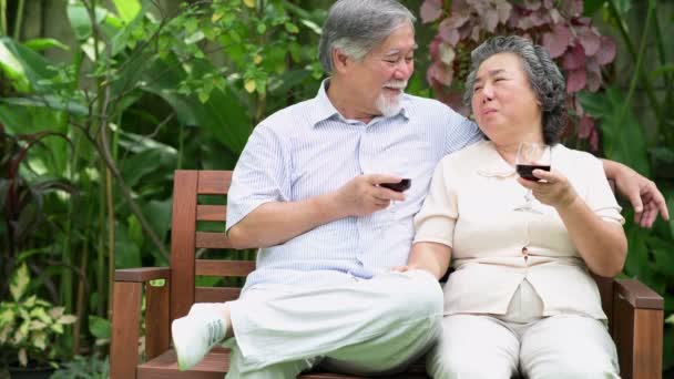 Senior Paar Zitten Het Drinken Van Rode Wijn Samen Huis — Stockvideo