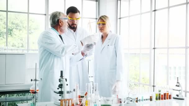 Group Chemists Working Lab Young White Male Female Chemists Senior — Stock Video