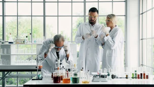 실험실에서 화학자의 그룹입니다 남성과 여성의 화학자와 작업에 실험실에서 협력의 화학자 — 비디오