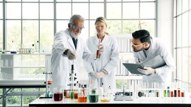 Group Chemists Working Lab Young White Male Female Chemists Senior — Stock Video