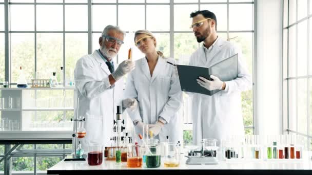 Grupo Químicos Trabajando Laboratorio Químicos Jóvenes Blancos Femeninos Con Químico — Vídeo de stock