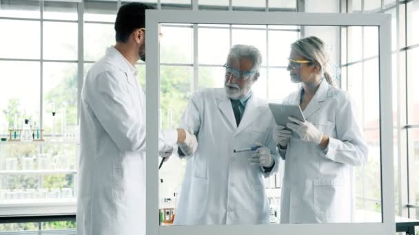 Группа Химиков Работает Лаборатории Молодые Белые Мужчины Женщины Химики Старшим — стоковое видео