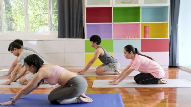 Yoga Sınıfına Katılan Genç Üst Düzey Asyalı Bir Grup Oturarak — Stok video