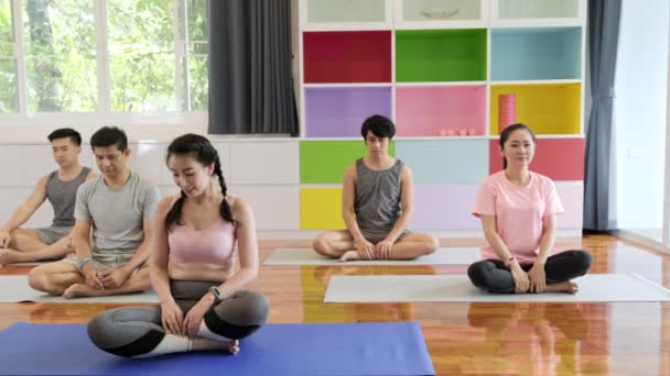 Grupp Unga Och Senior Asiatiska Människor Som Deltar Yoga Klass — Stockvideo