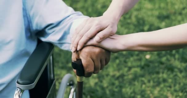 Junge Krankenschwester Und Älterer Behinderter Mann Rollstuhl Halten Sich Garten — Stockvideo