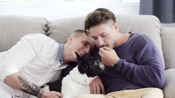 白人のゲイのカップルは自宅で自分の犬と遊んでいます — ストック動画