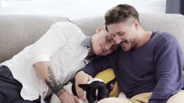 白人のゲイのカップルは自宅で自分の犬と遊んでいます — ストック動画