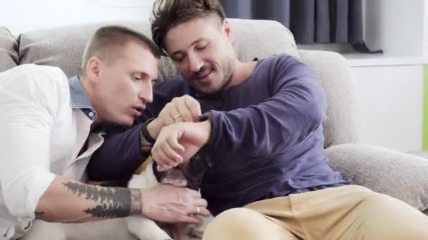 Caucasico Gay Coppia Giocare Con Loro Cane Casa — Video Stock