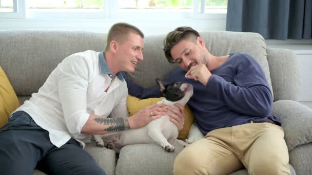 Kaukasische Homosexuell Paar Spielt Mit Ihrem Hund Hause — Stockvideo