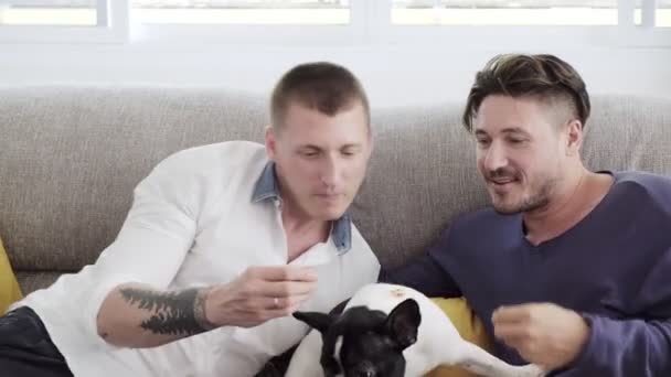 Caucasian Gay Couple Playing Dog Home — Stock Video